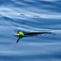 How to extract information about fishing places from OSM with Python and osm2geojson